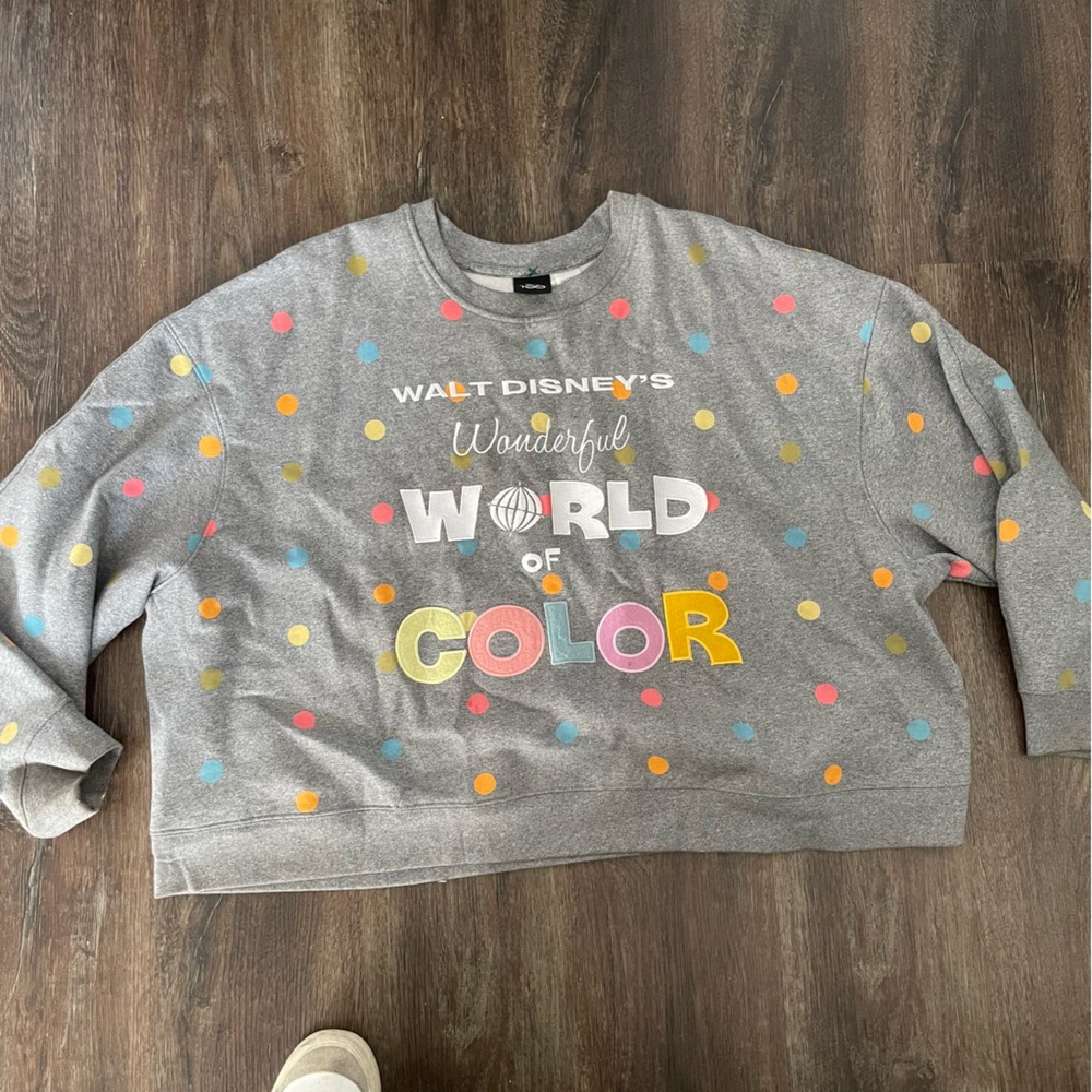 Disney Gray pullover size 3X world of color